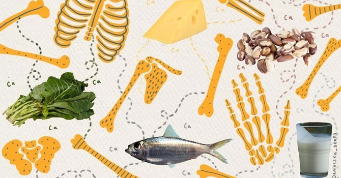 Osteoporosis and Bone Health image